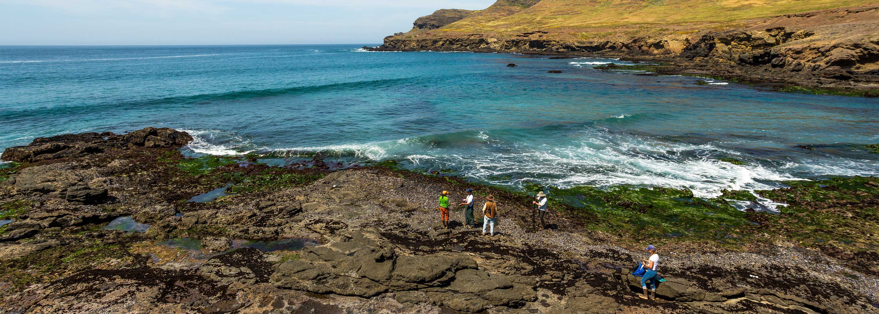 santa cruz island with researchers on the coastline