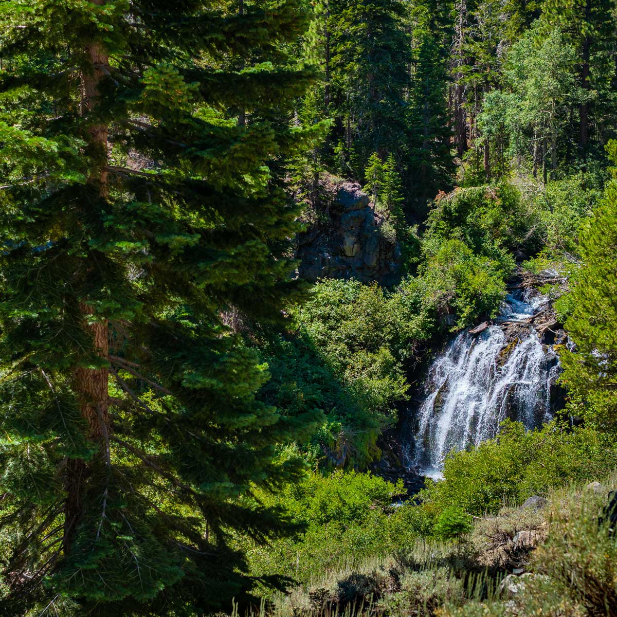 Waterfall in a mountain forest