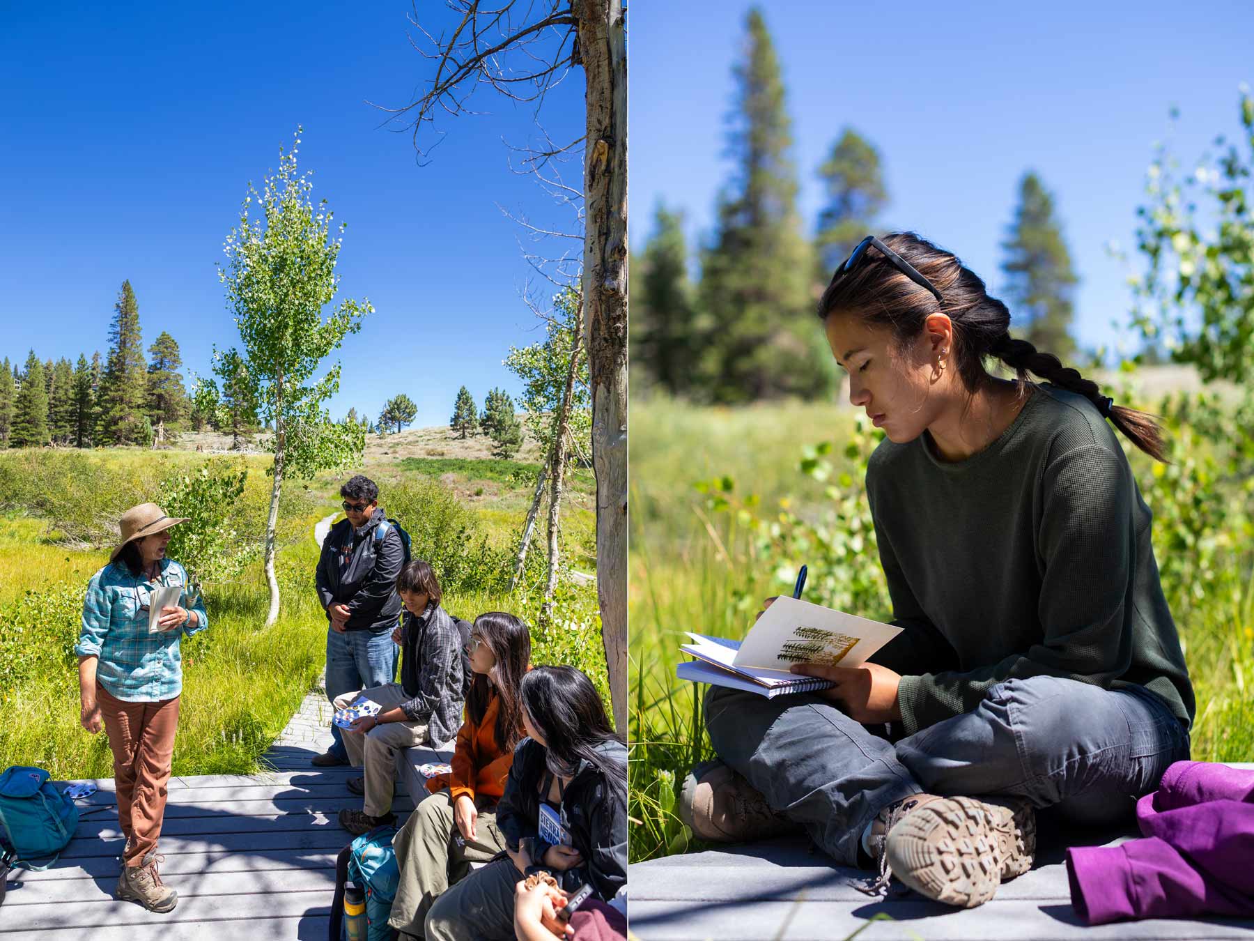 students doing nature journaling