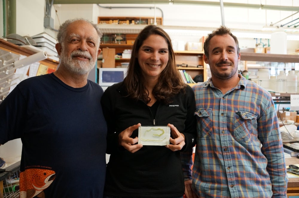 Parasitologists holding a slide of a larval tapeworm