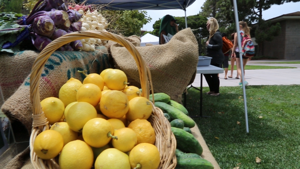 Gaucho Certified Farmers Market lemons