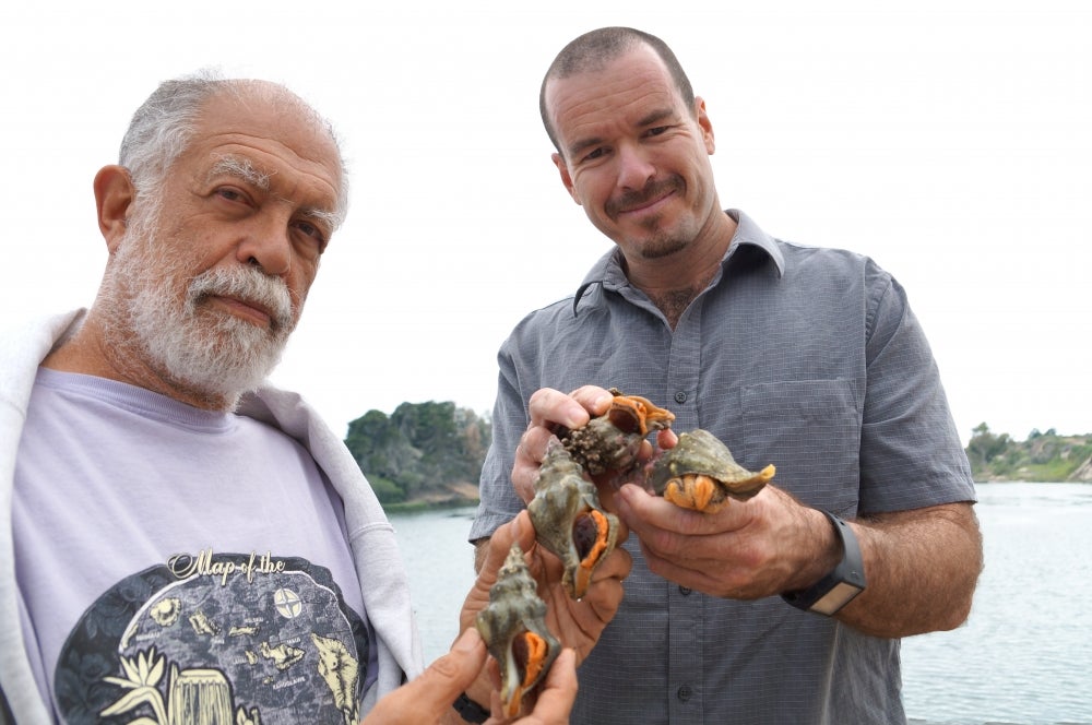 photo of UCSB parasitologists Armand Kuris and Ryan Hechinger, with Kellet&#039;s whelks