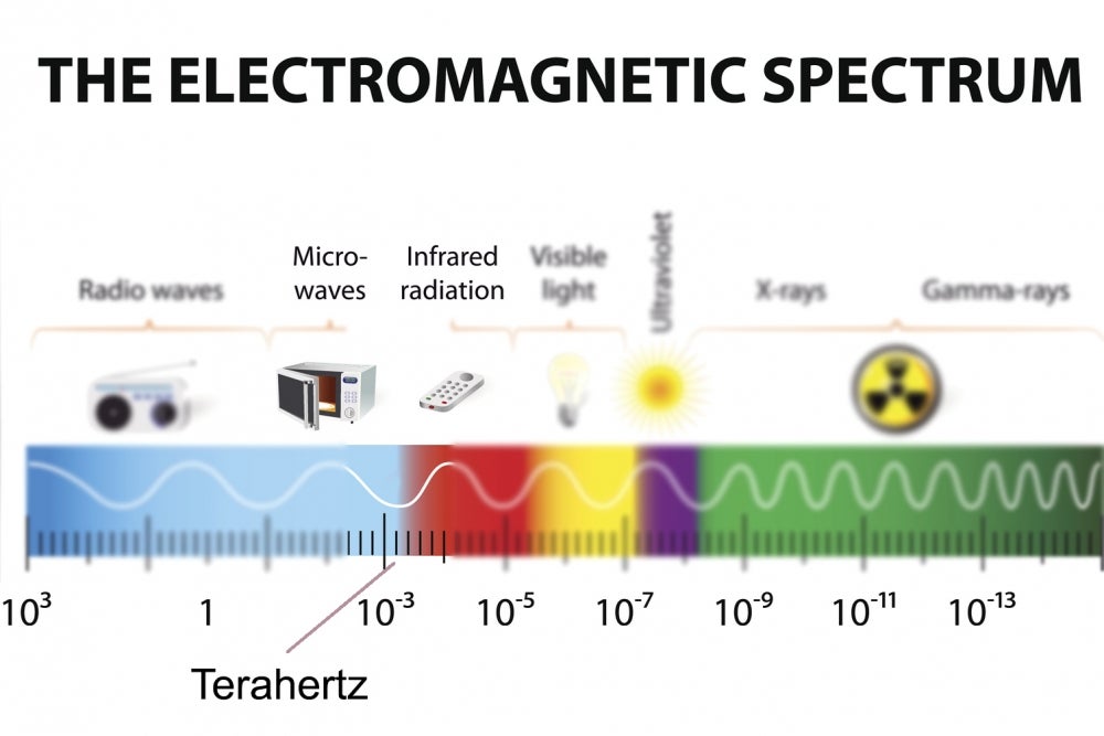 The Wave of the Future | The Current