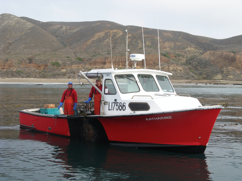 Lobster fishermen in a small boat with dry coastal bluffs in the background