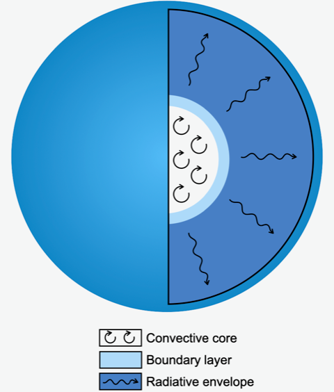 A cross-sectional diagram of the mixing within a massive star