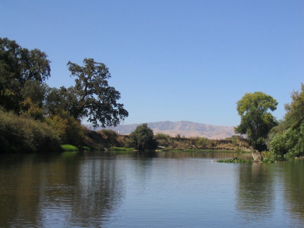 Riparian community woodlands along the lower Tuolumne River near Merced, California. The dry grassland in the background indicates the semi-arid conditions and drought environment.