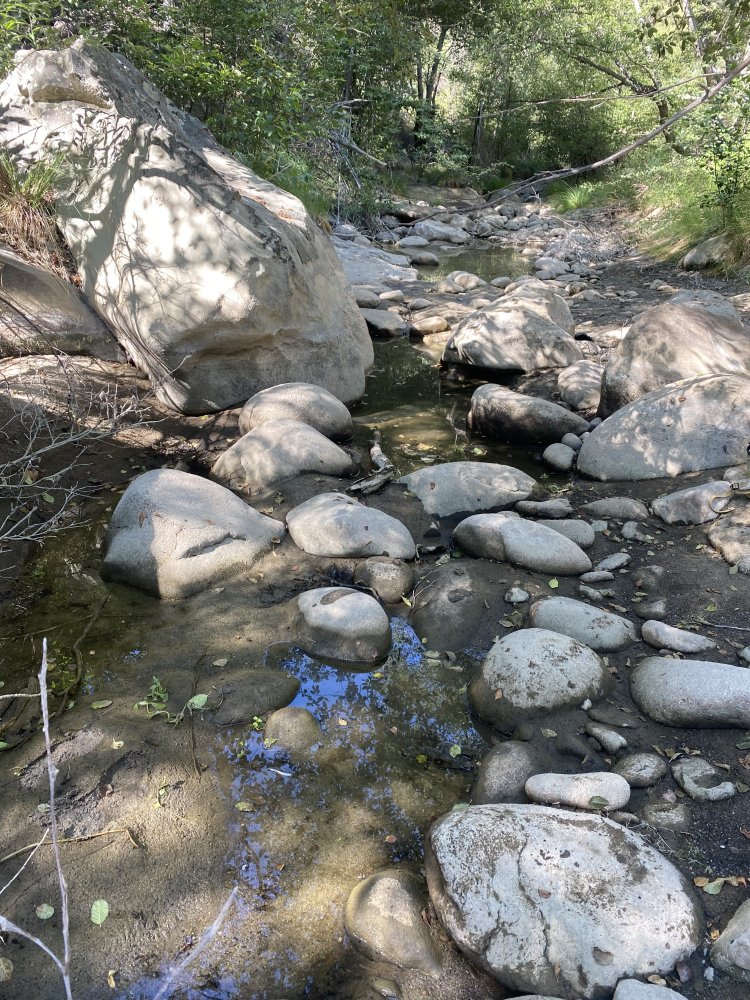 Sespe Creek in 2021, showing particularly low flow for a normally perennial stream