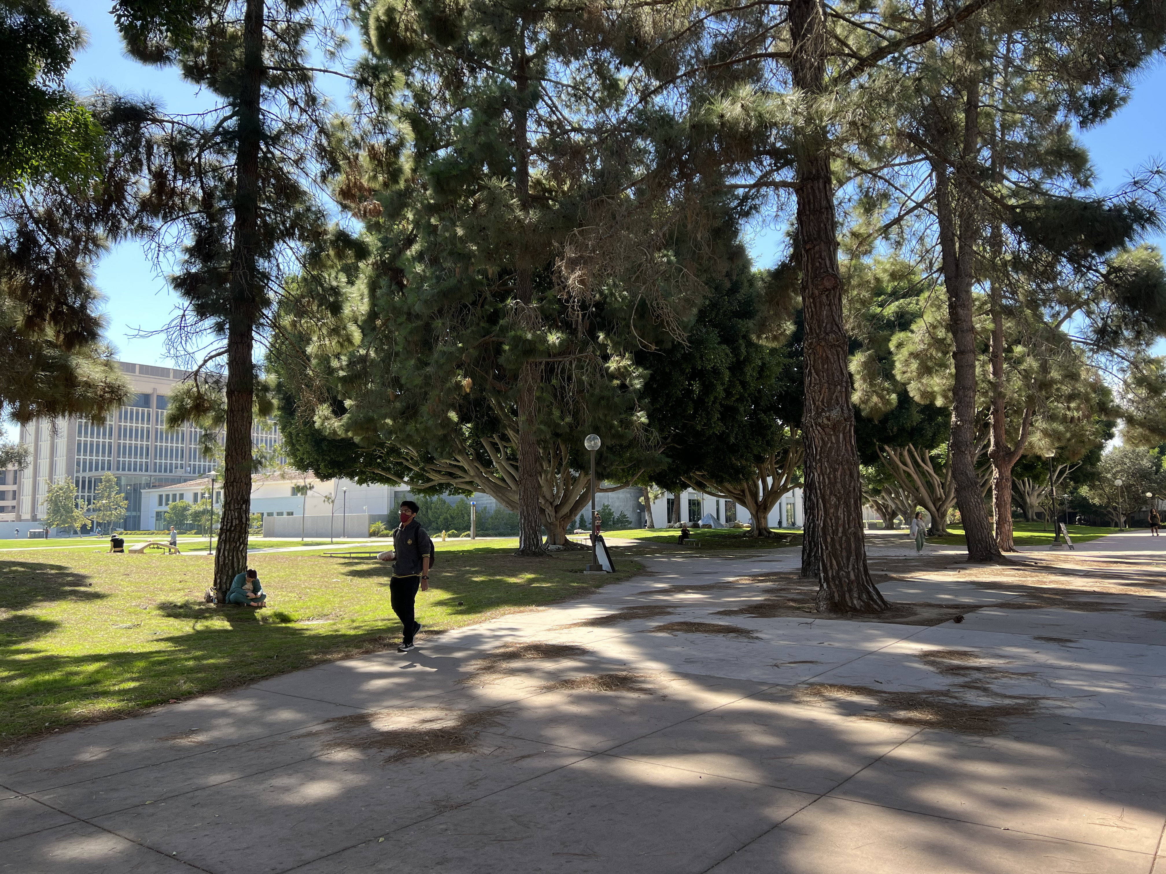 students walking on quiet campus under 