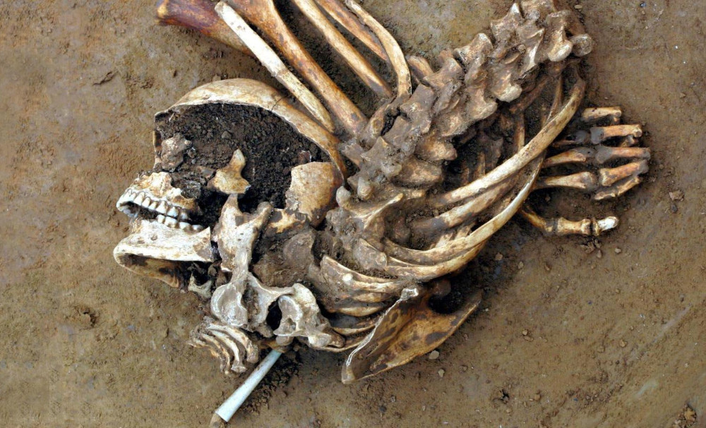 The skeleton of a Bronze Age Briton found in Kent