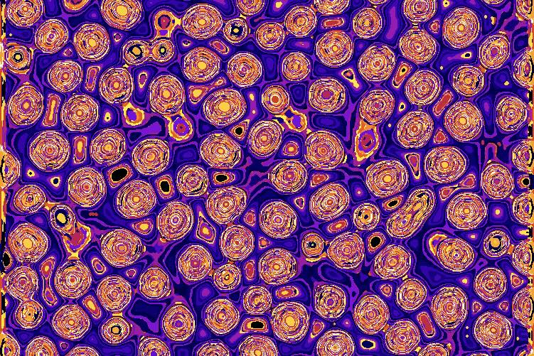 Pink cells on a purple background