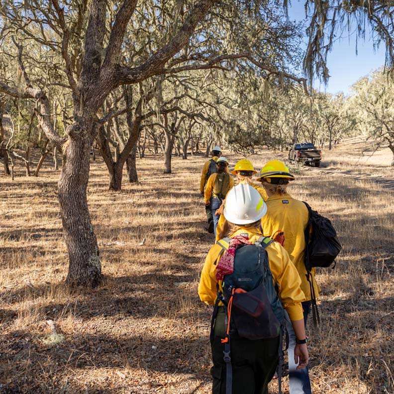 A caravan of researchers and firefighters make their way to a burn site