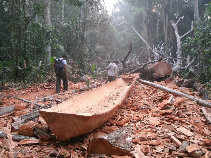 Tsimane hunters