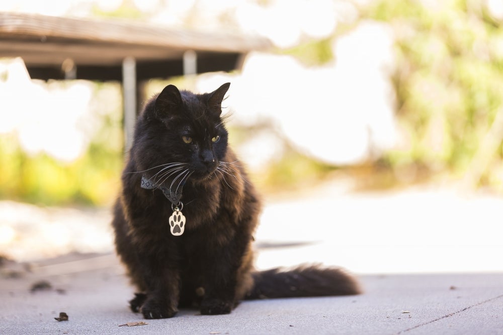 https://news.ucsb.edu/sites/default/files/slideshow_images/2019/UC-Santa-Barbara-perko_T4A0339-web.jpg