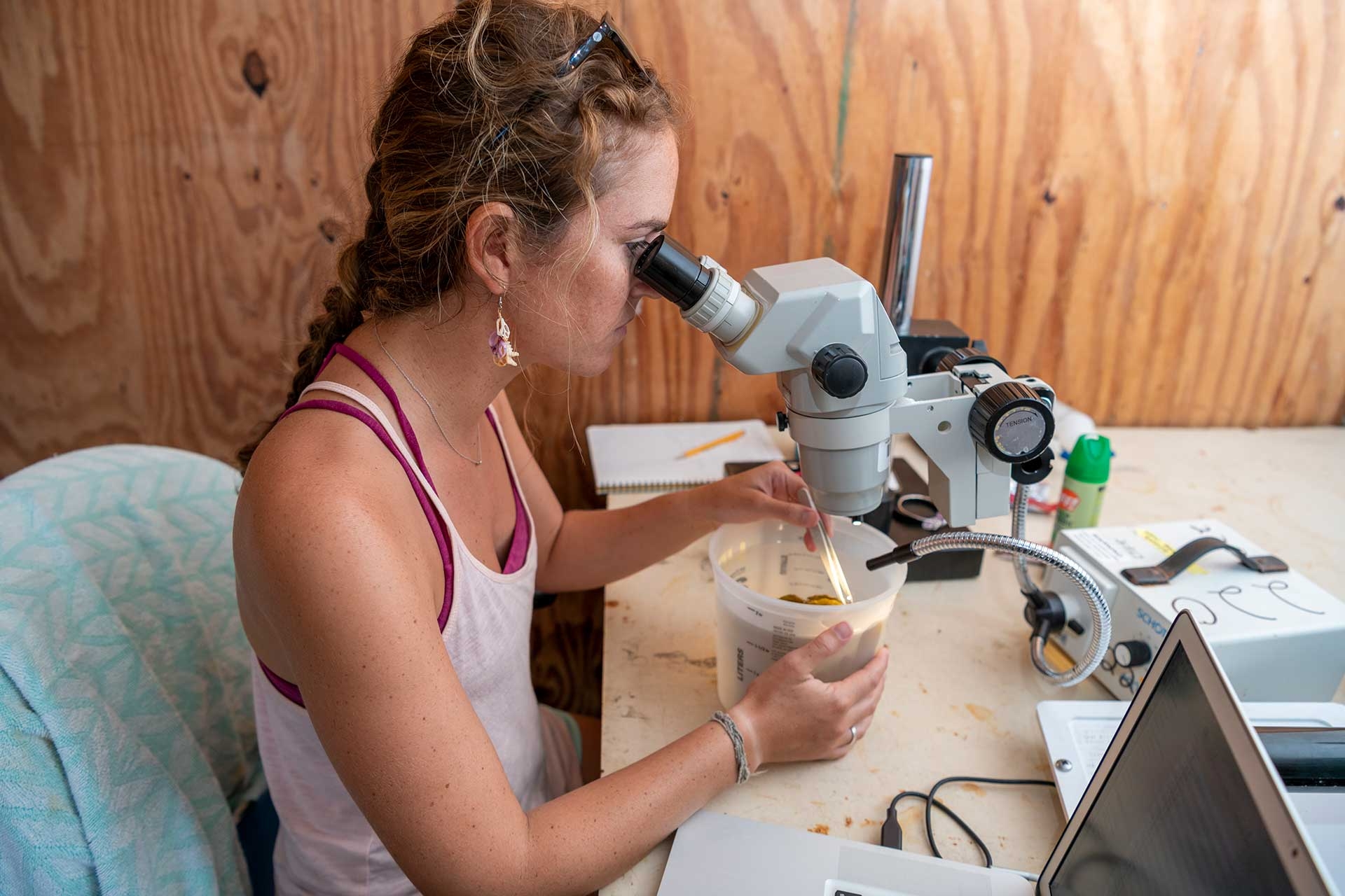 A Ph.D. candidate examines the growth of coral polyps.