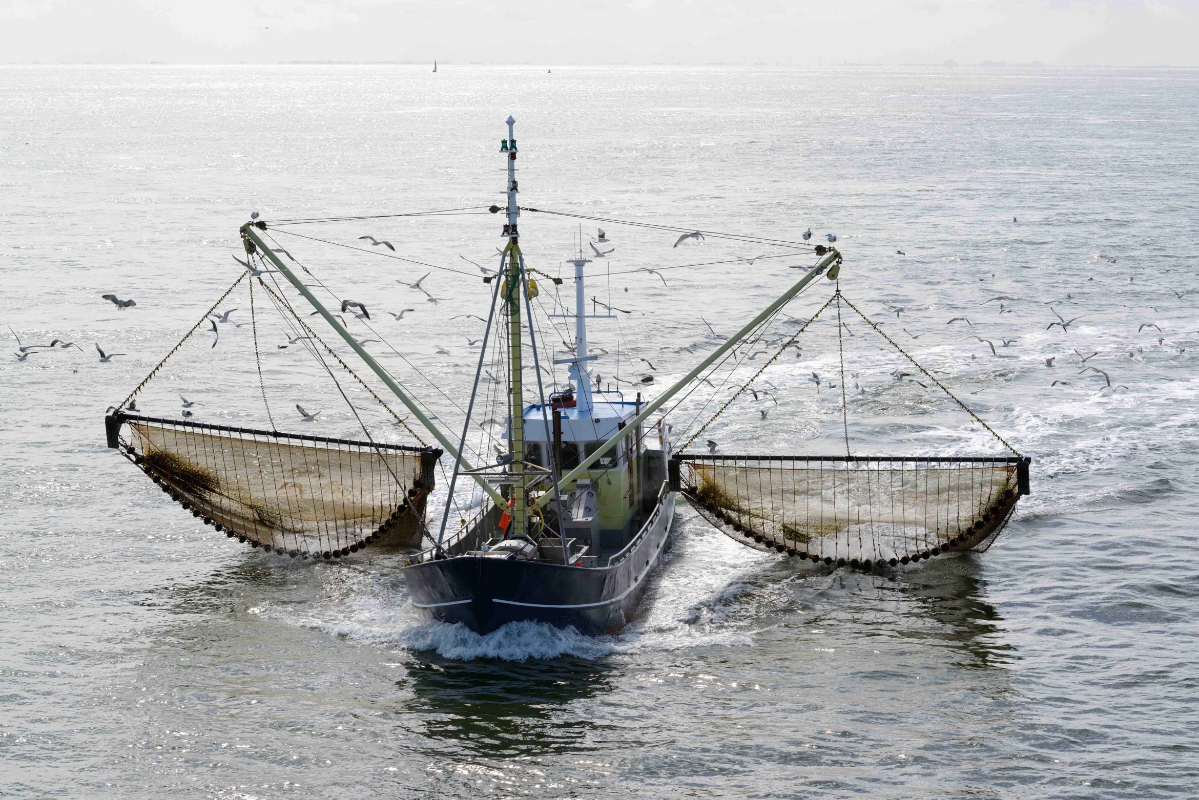 A fishing boat drags nets through the waters of the Wadden Sea, off the coast of the Netherlands.