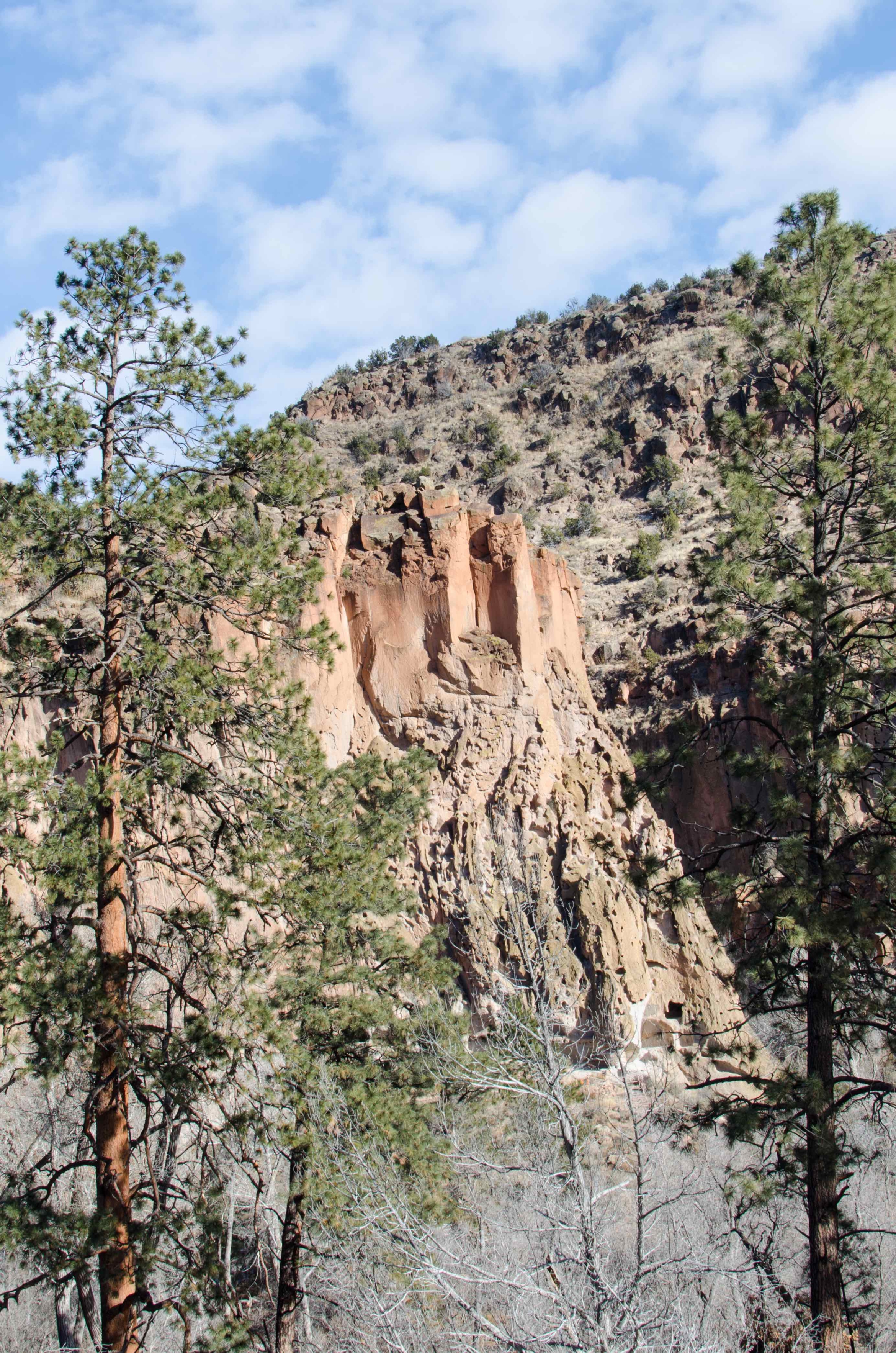 Two pine trees frame a dry hill.