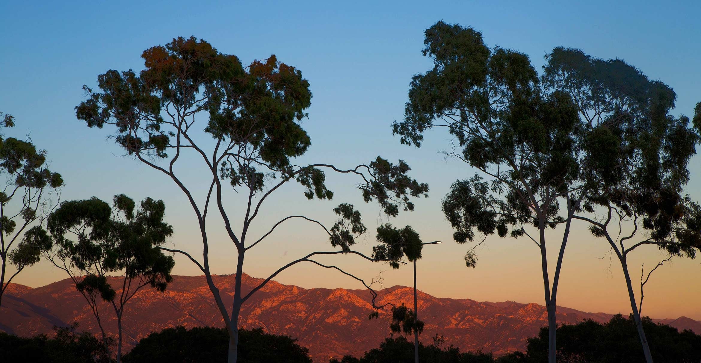 Mountains and trees