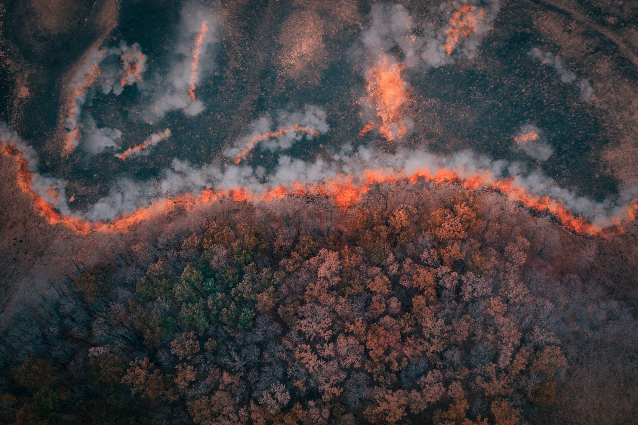 aerial view of wildfire marching across a forest landscape