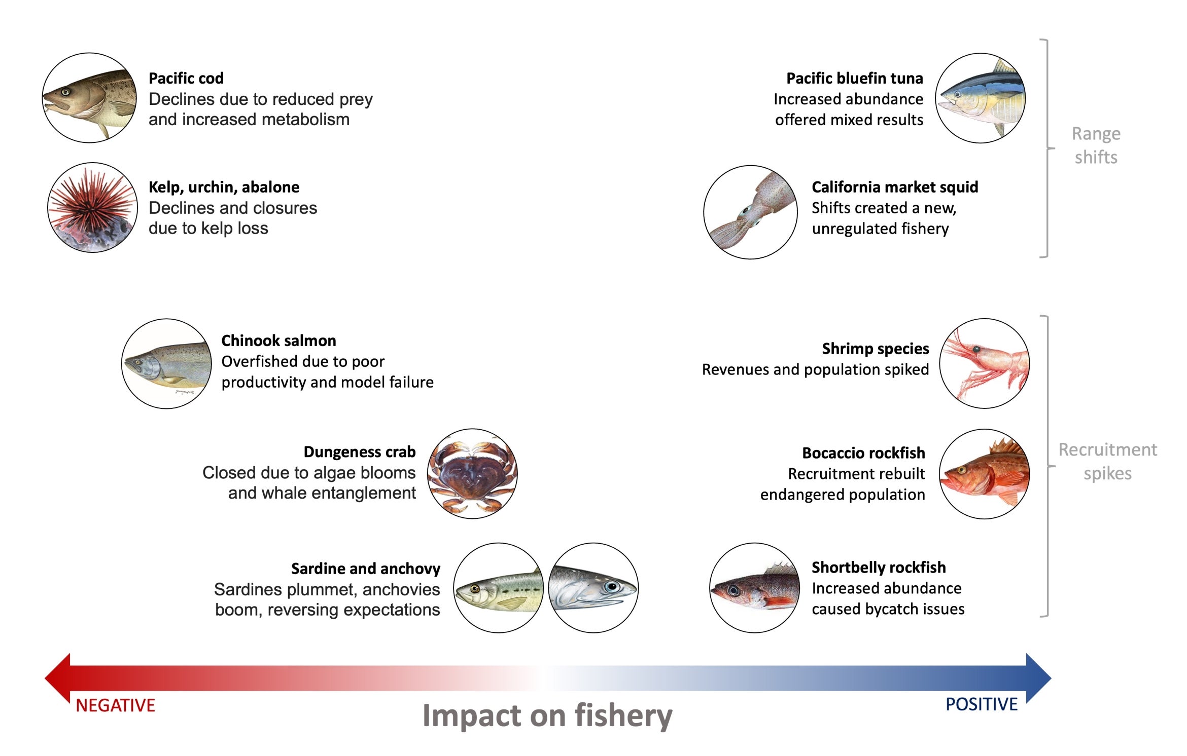 Fisheries faired differently under the heatwave.