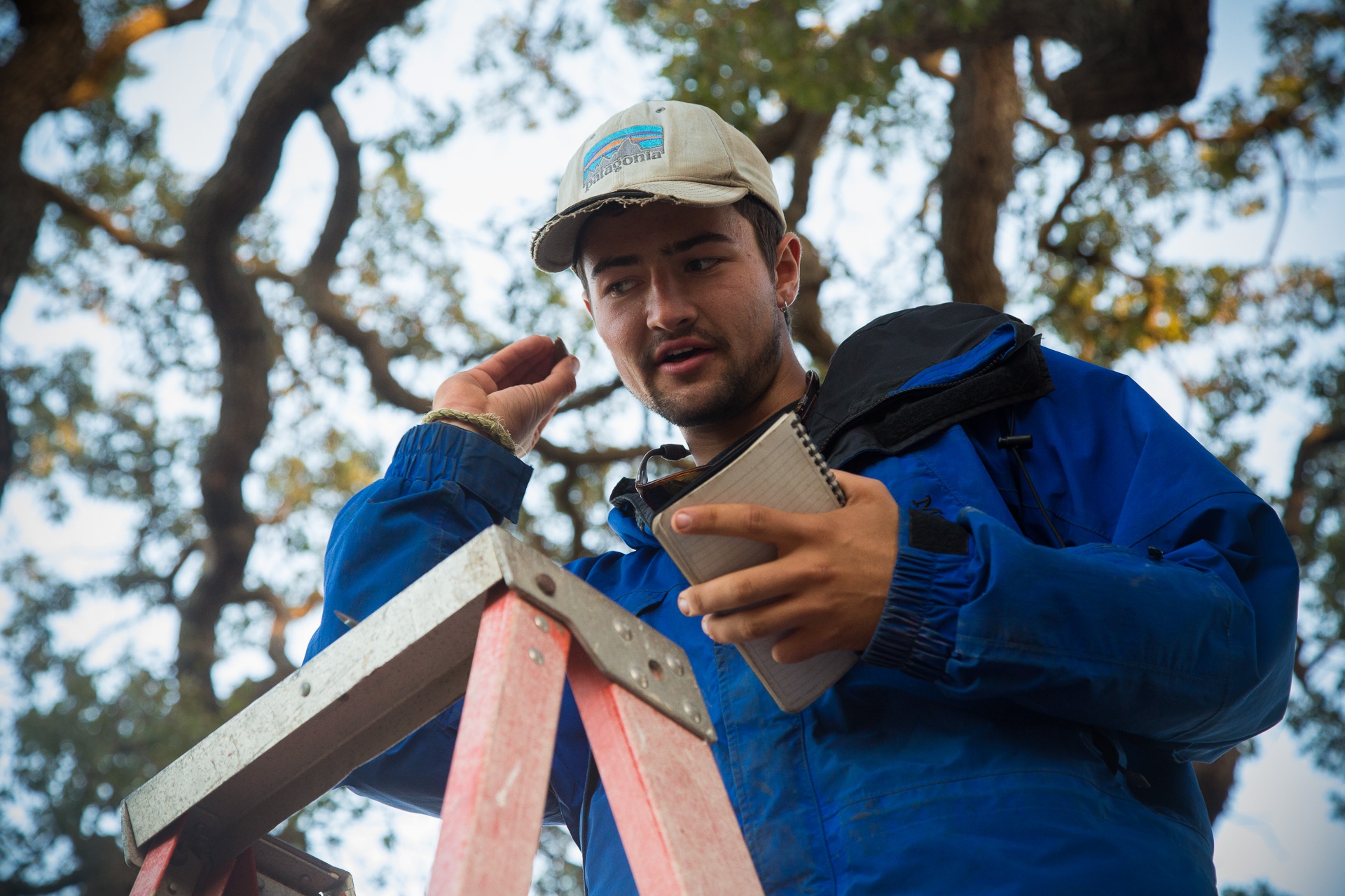 A student inspects an oak seed as part of his research for the California Ecology and Conservation class.
