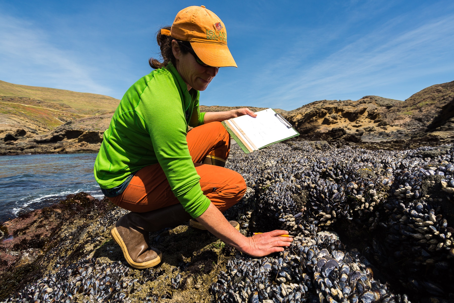 researcher on the hunt for abalone, sea stars, mussels and other marine organisms. 
