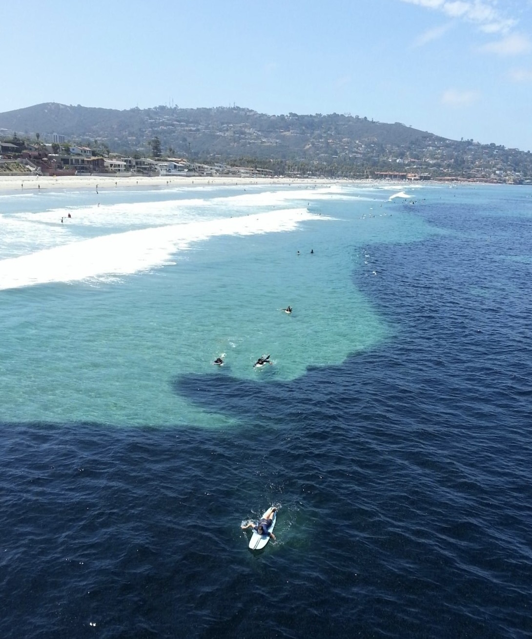 Surfers paddle through schools of anchovies off the coast of La Jolla, California.