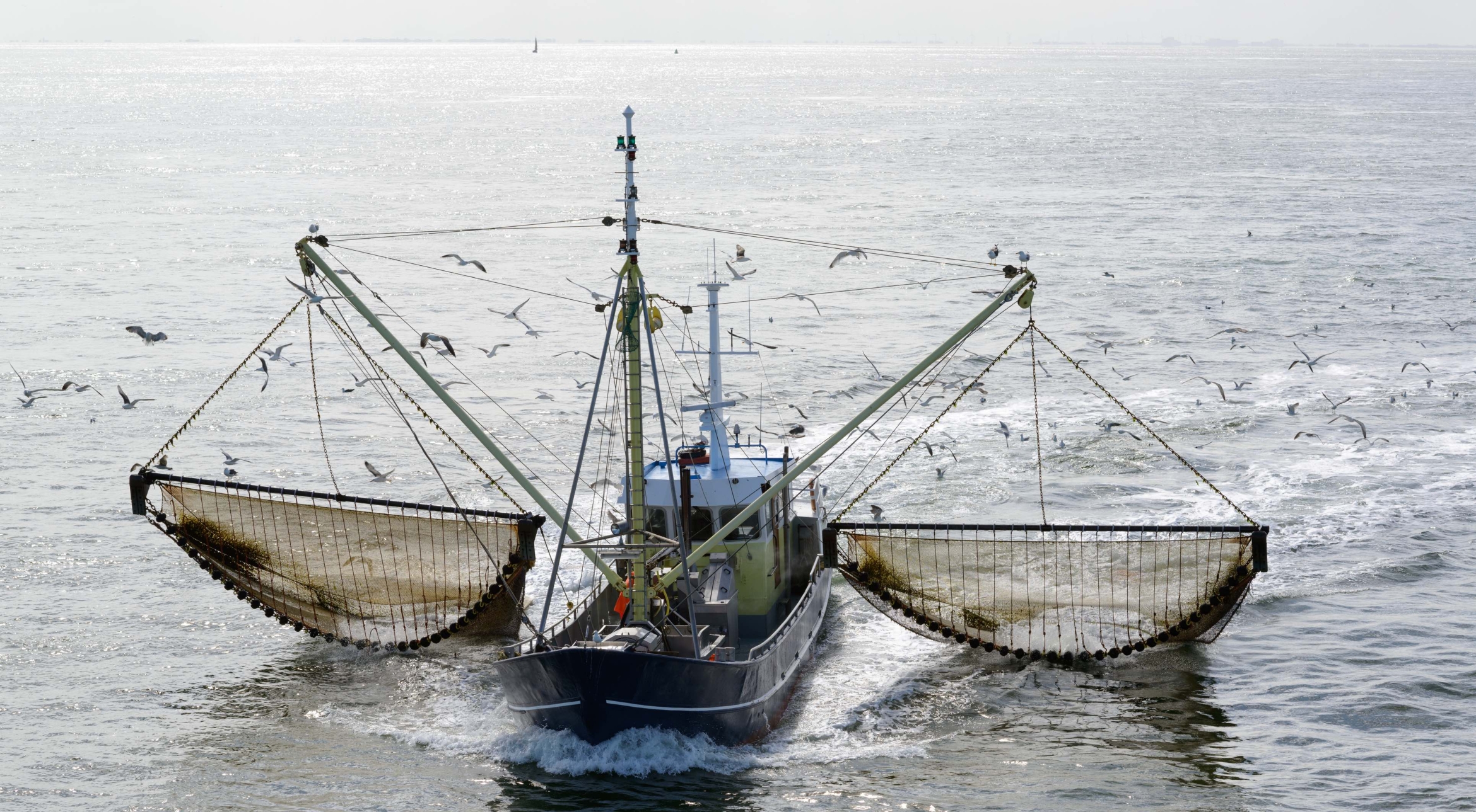 A fishing boat deploys its nets accompanied by a flock of gulls.  