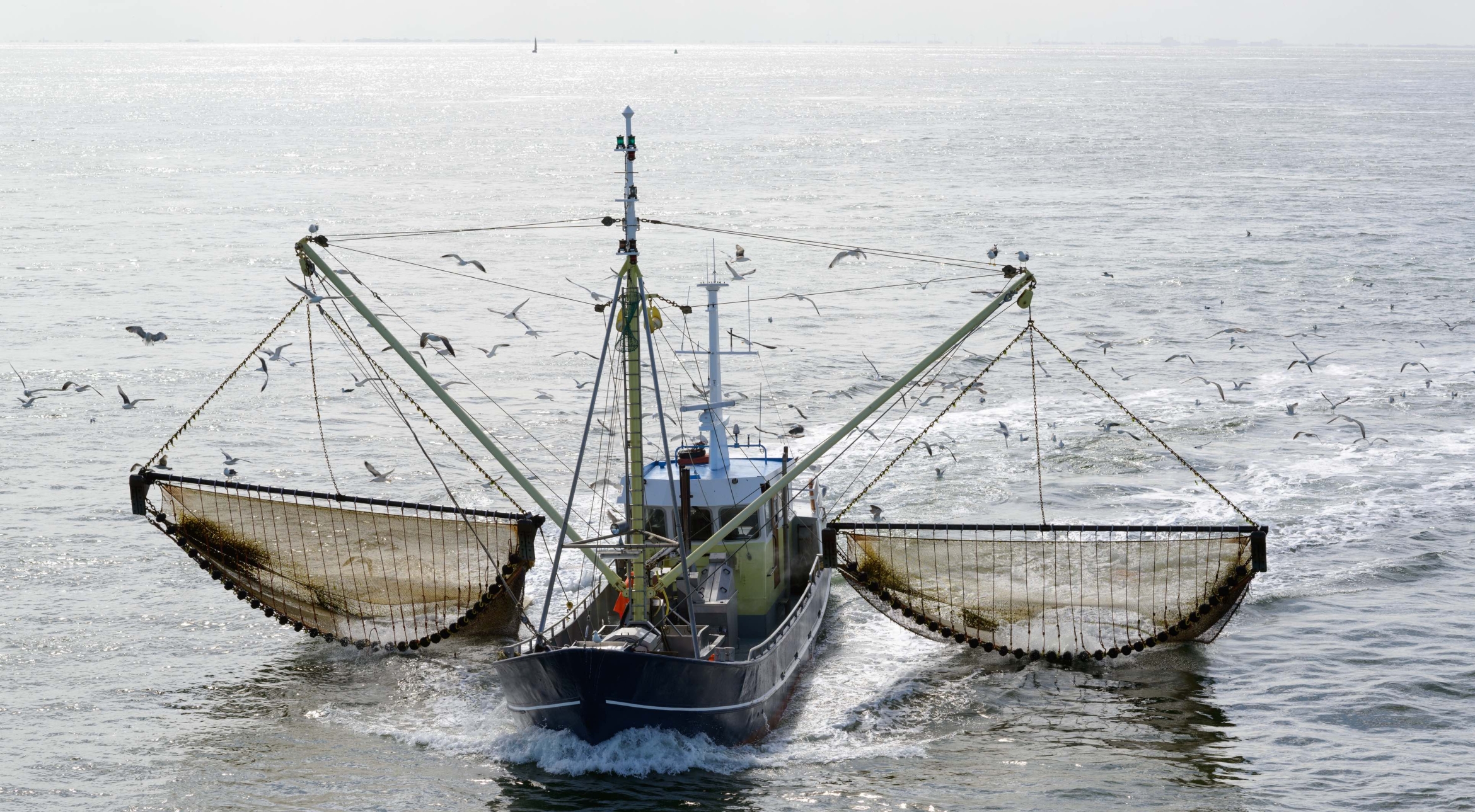 Increasing Number of West Coast Fishermen Use Innovative Gear to