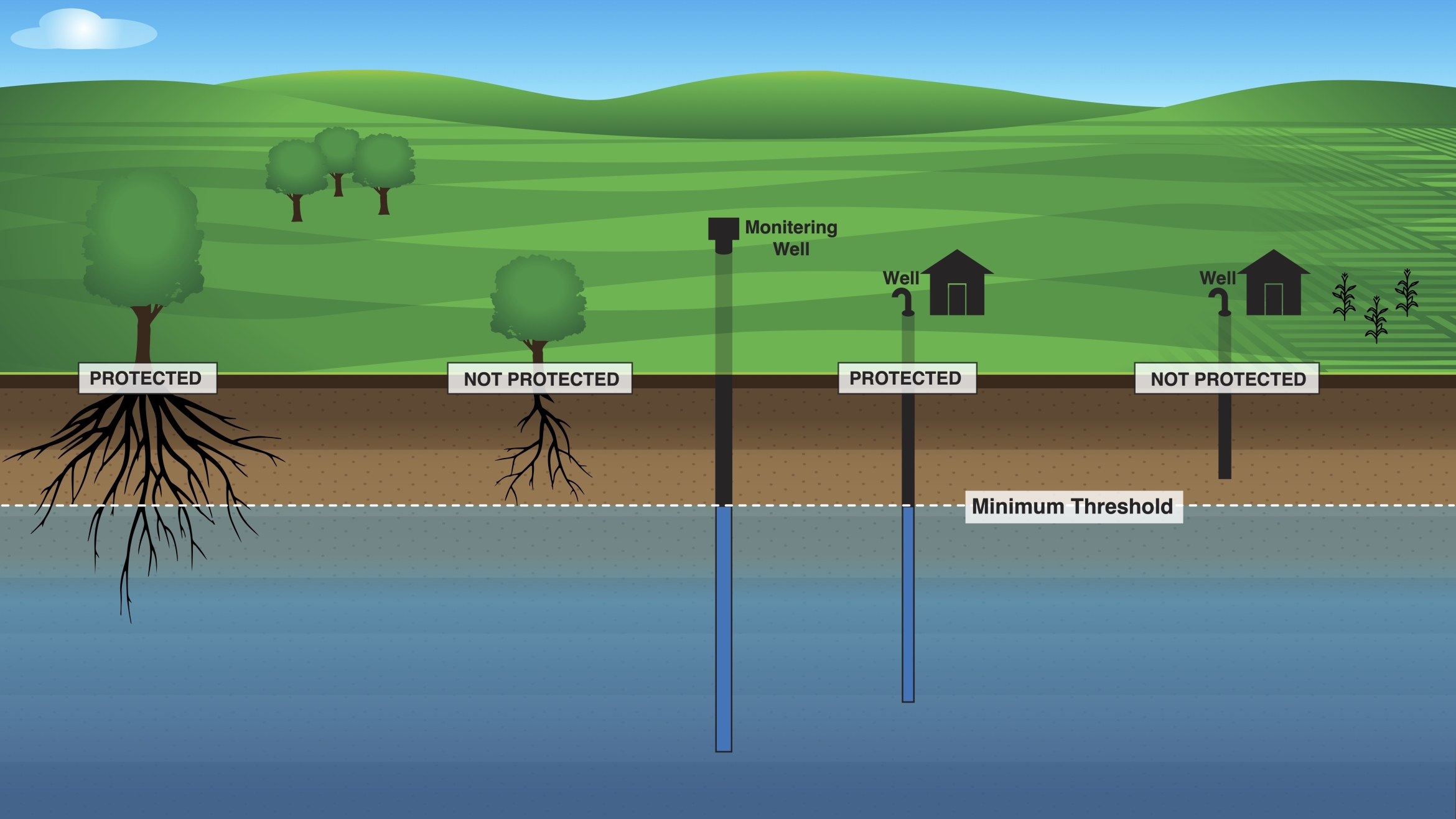 Tree roots and wells extending to various depths are compared to the aquifer’s minimum threshold the policy established for the underlying aquifer.