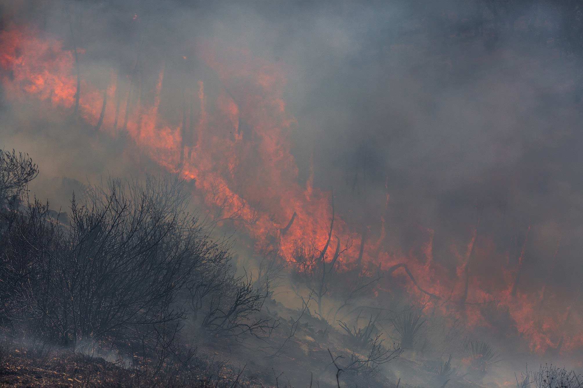 A closeup photo of flames engulfing the hillside, obscured by smoke.