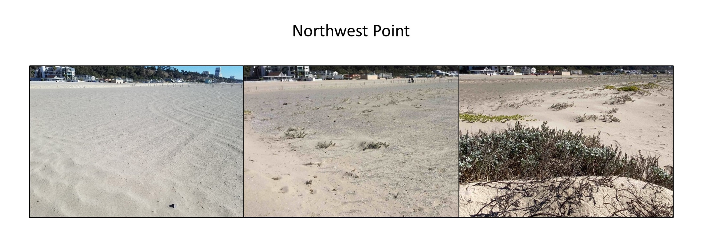 three photos showing the change in the landscape of a section of beach