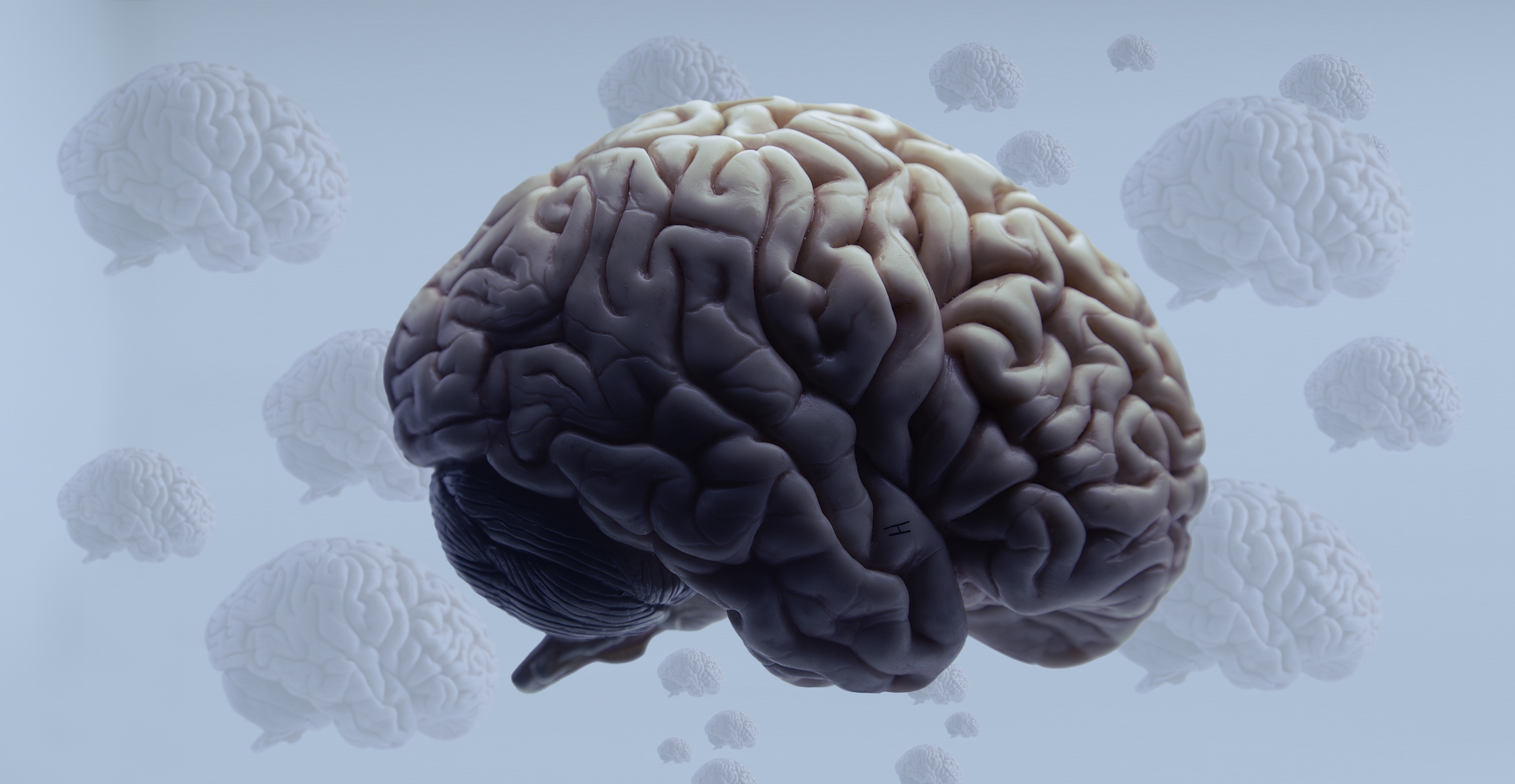 Photo illustration of a floating human brain 