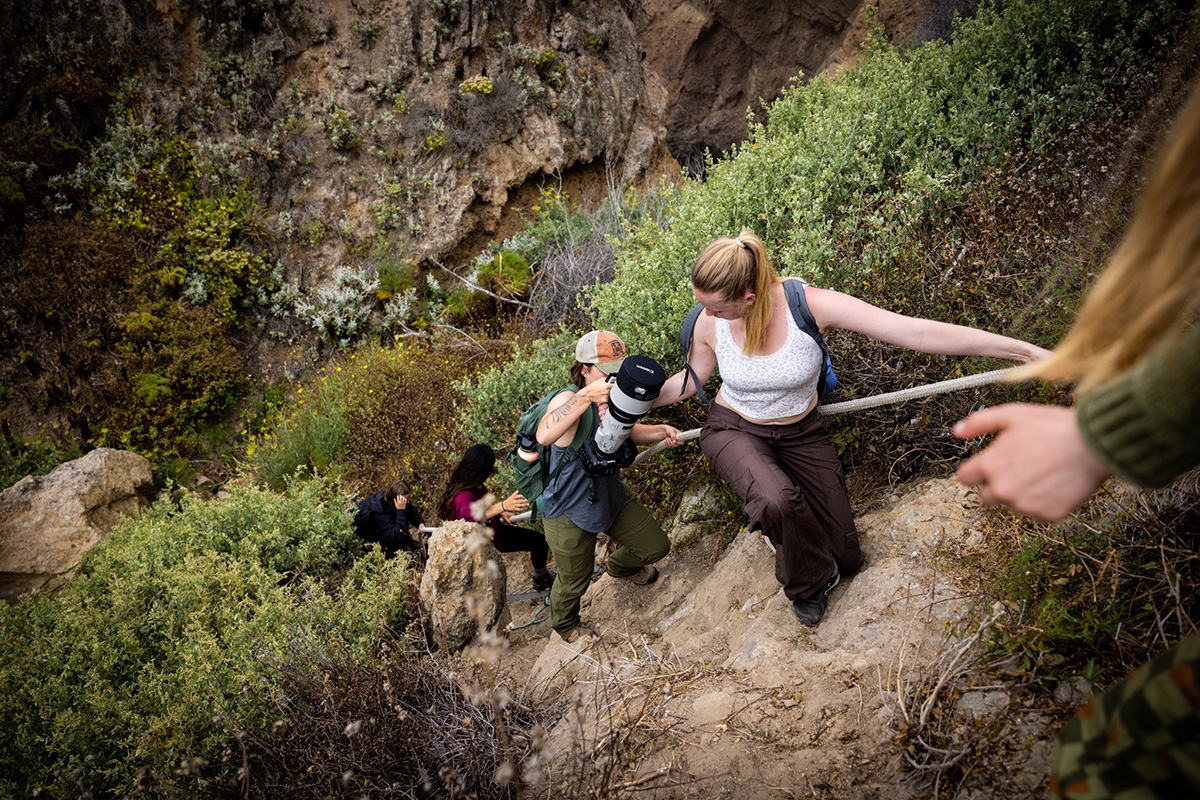 Students climb a rope on a steep trail