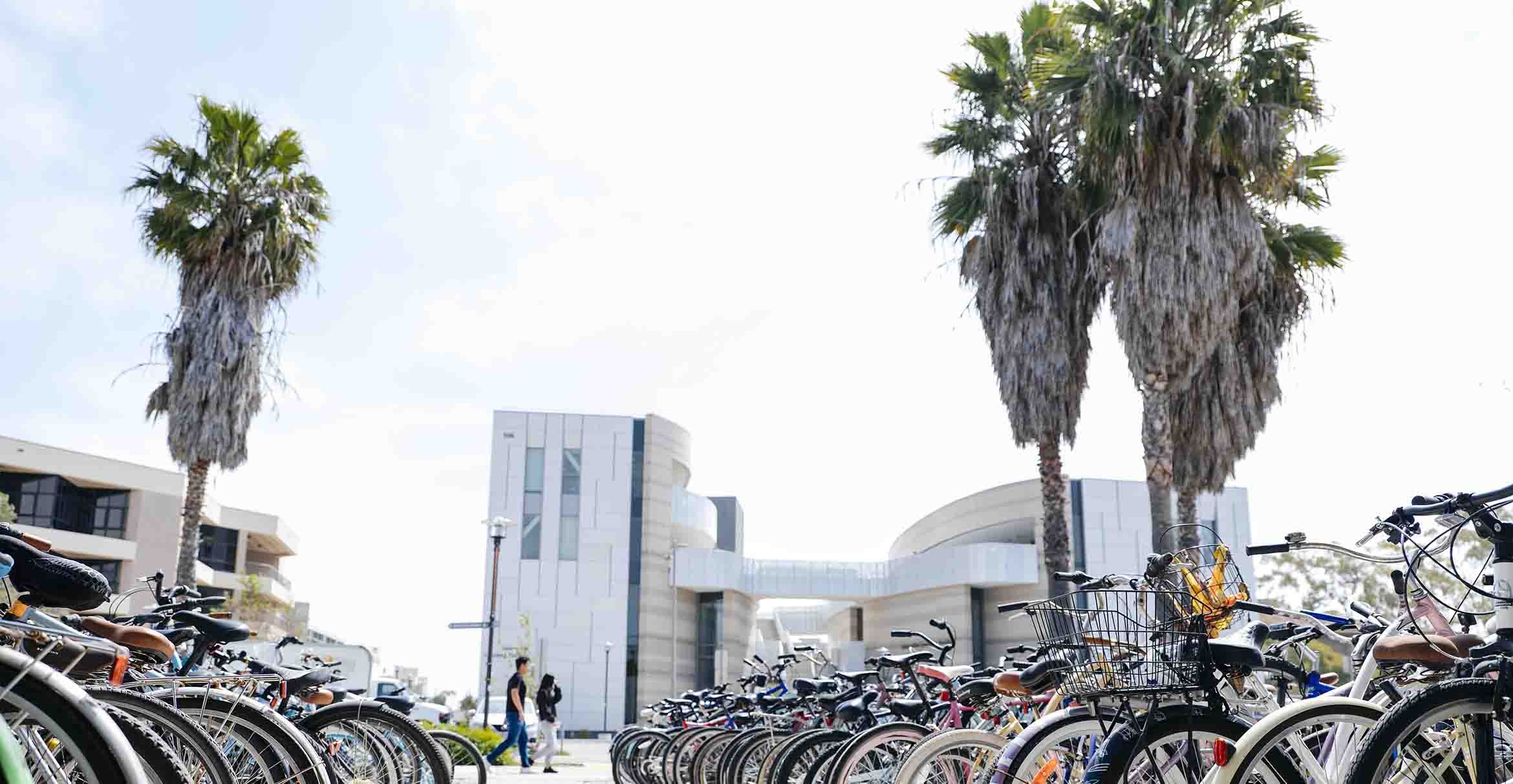 Rows of bikes are seen in the foreground, with palm trees and a modern building in the back