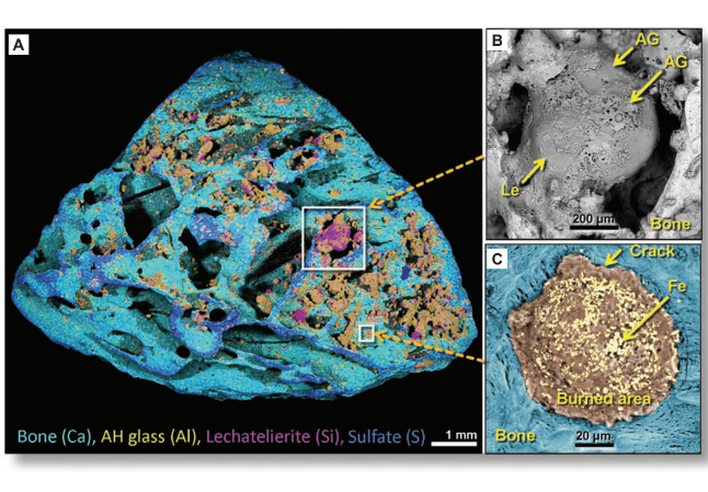 pieces of bone with meltglass