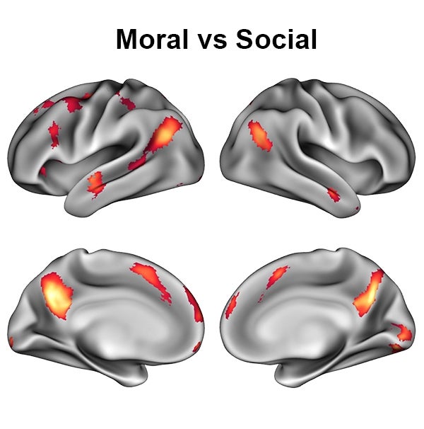 Contrasting brain scans of people making moral versus social judgements.