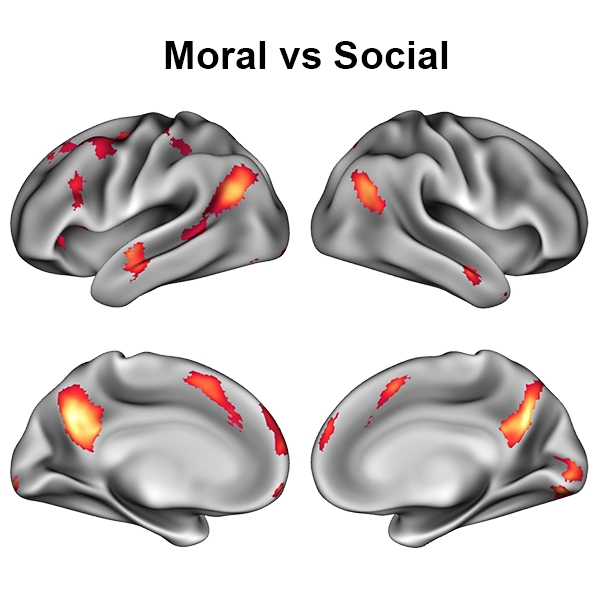 Contrasting brain scans of people making moral versus social judgements.