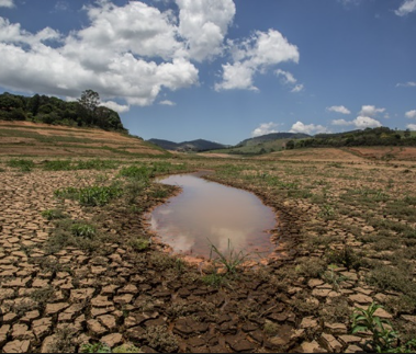 a drying water source and cracked earth