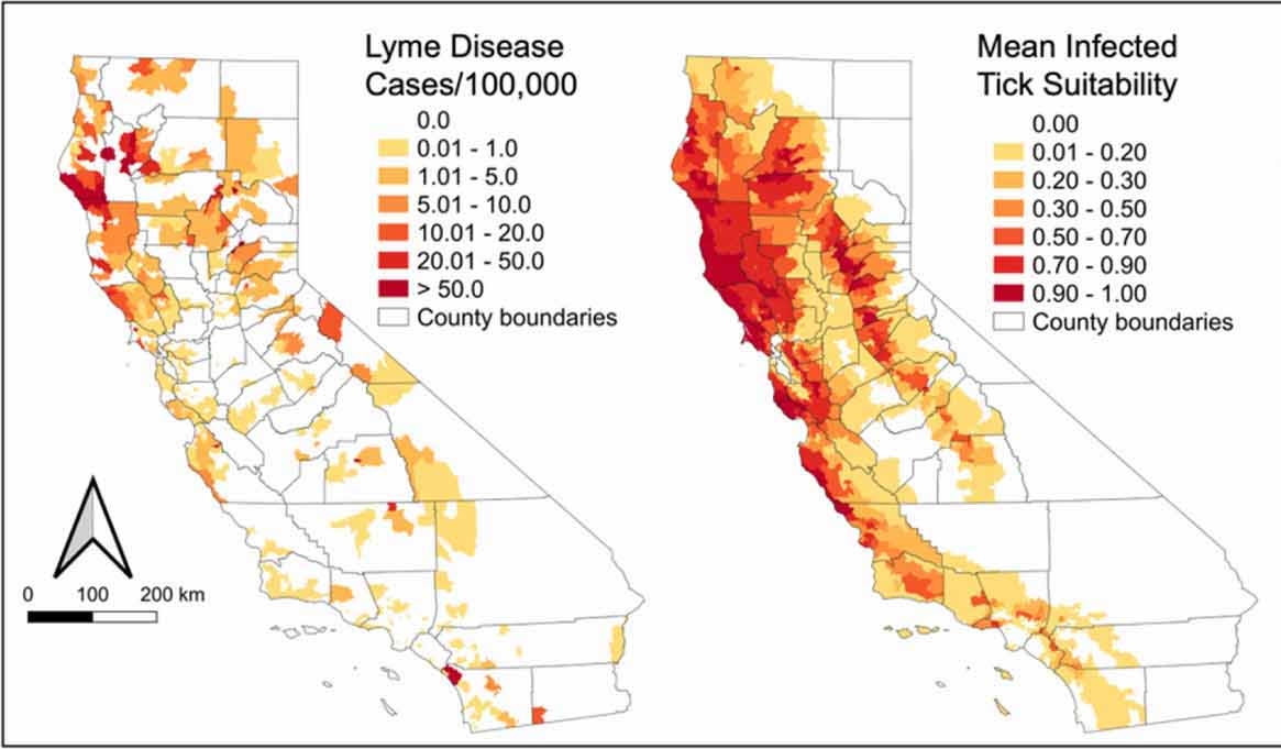 The distributions of Lyme disease cases in California and infected tick populations