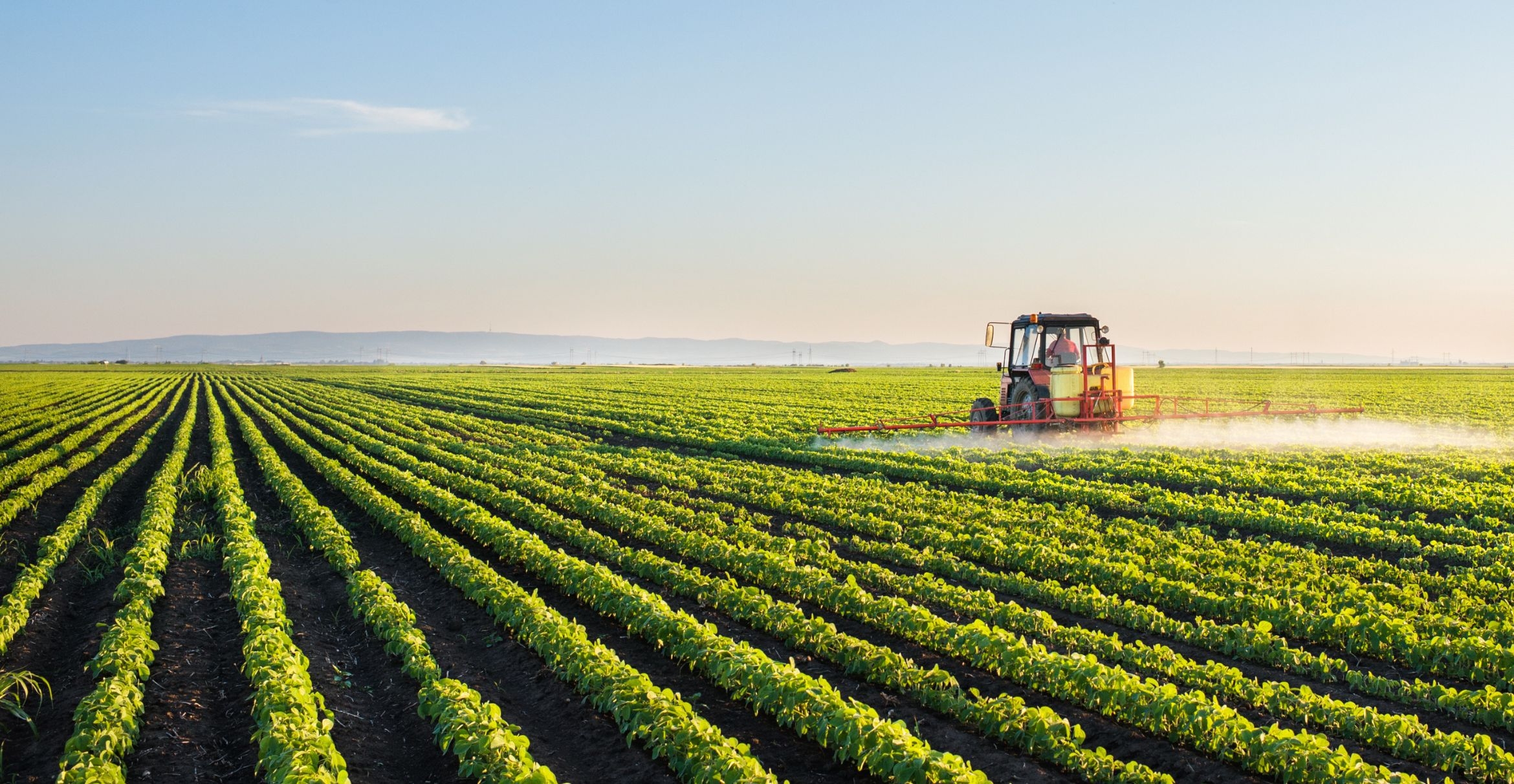 A tractor sprays a soybean field in spring.