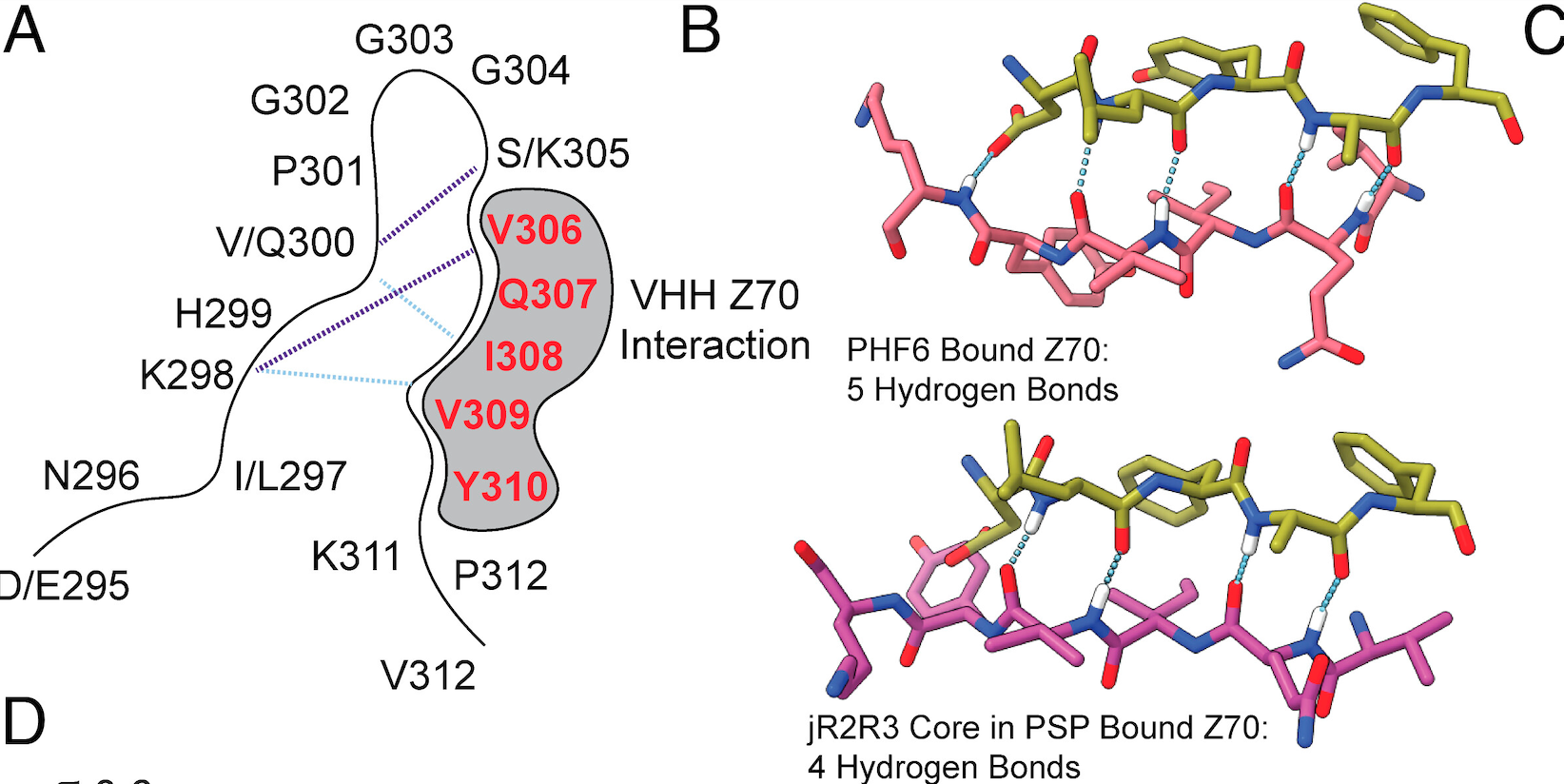 figure from the paper diagramming "sticky" segments of tau protein