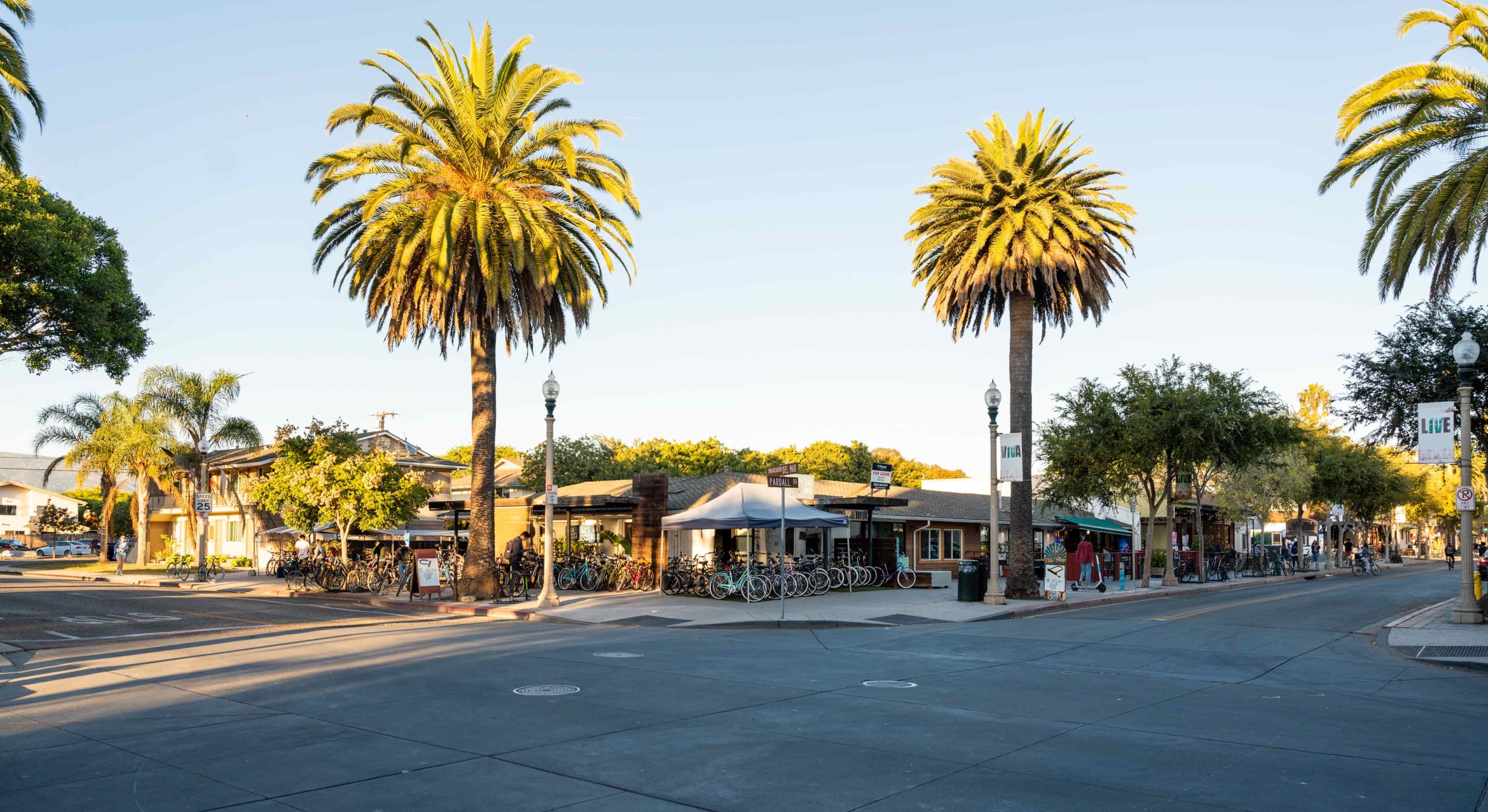 Street corner with palm trees and bicycles parked