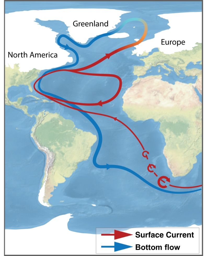 The AMOC circulates water in the Atlantic basin.