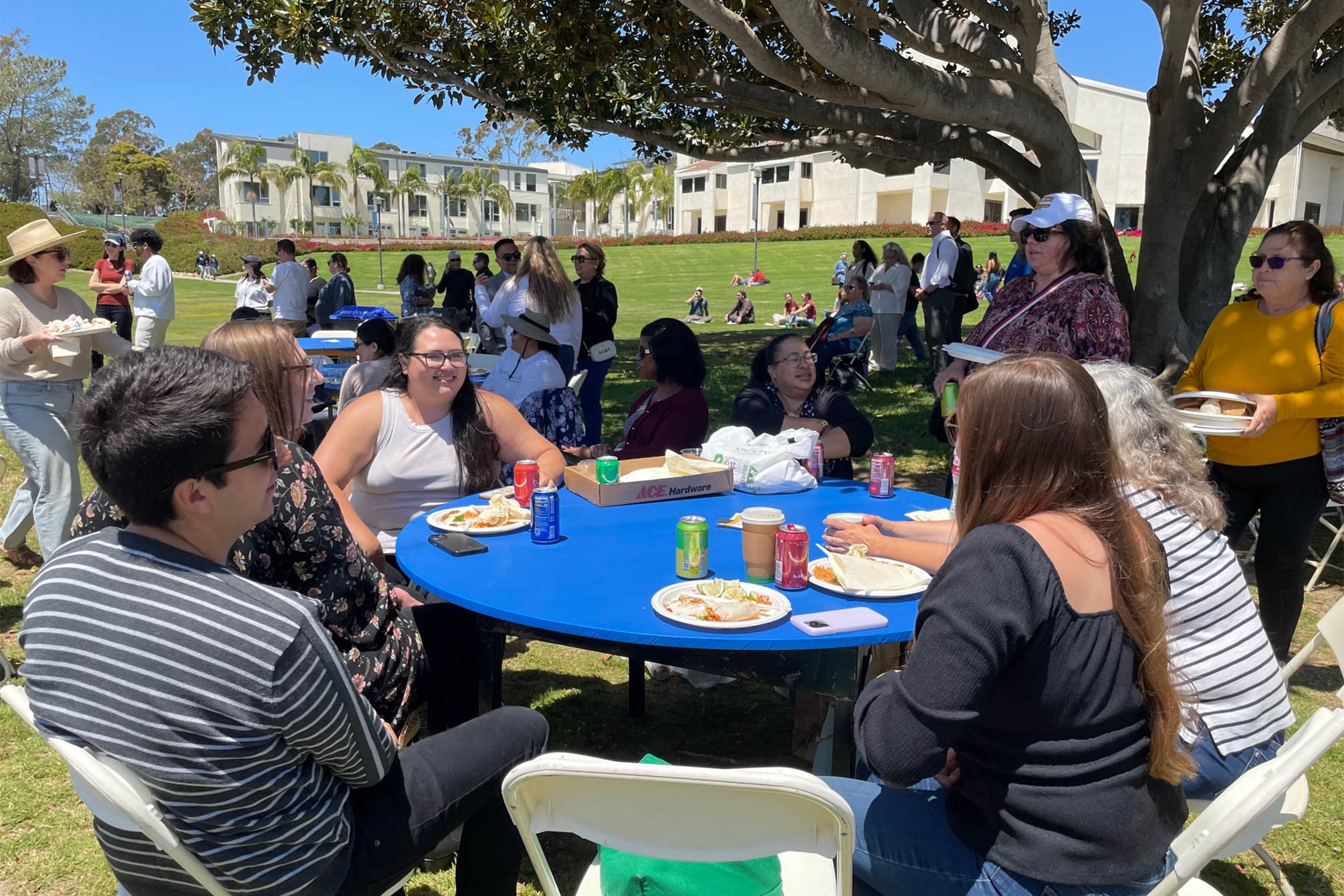 Staff members enjoy their luncheon on the lagoon green.