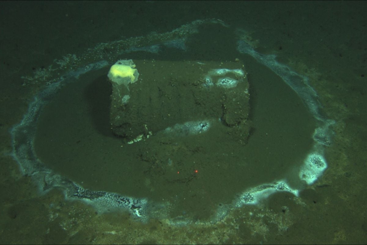 A waste barrel embedded in the seafloor mud.