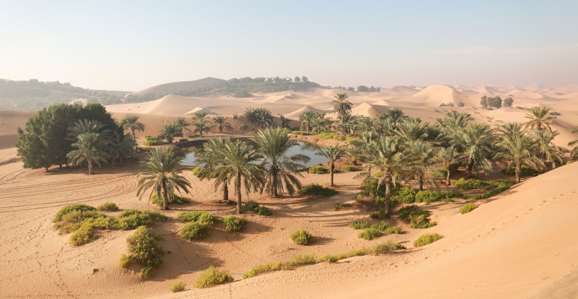 Sand dunes surround palms, trees, shrubs and a small lake in the UAE.