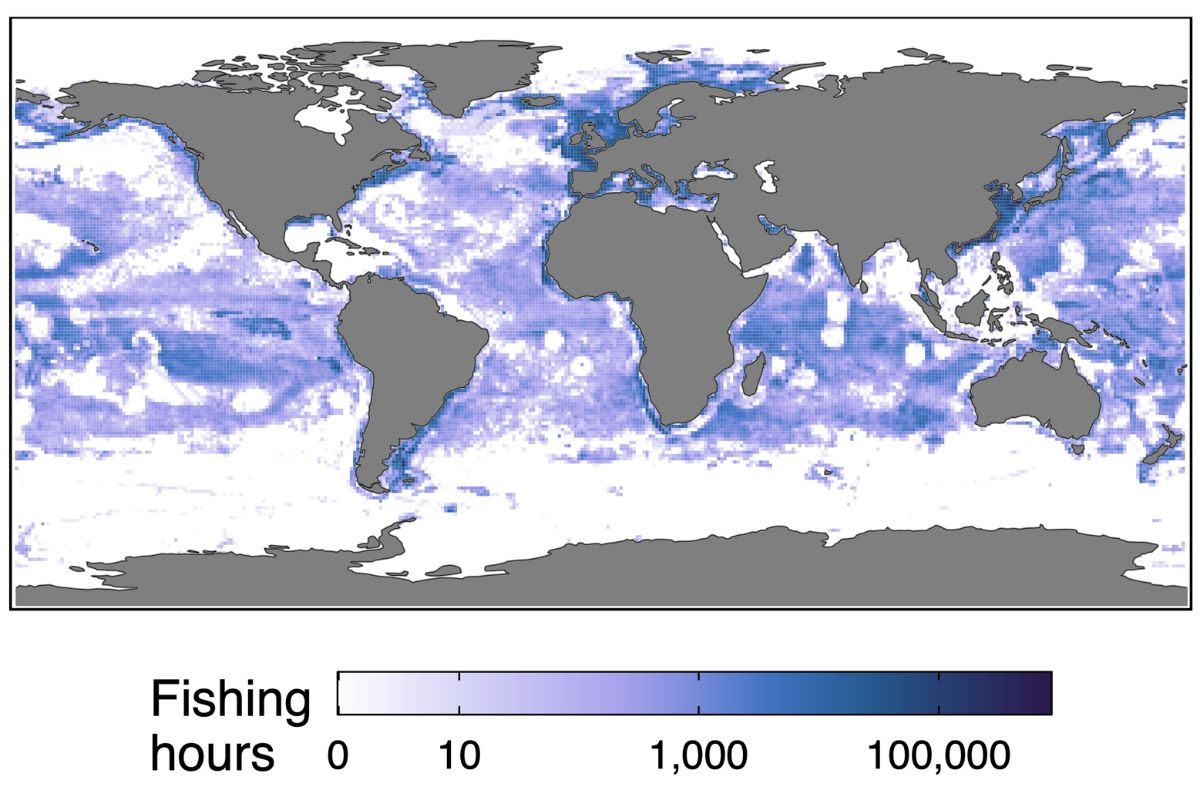 A heatmap of global fishing effort.