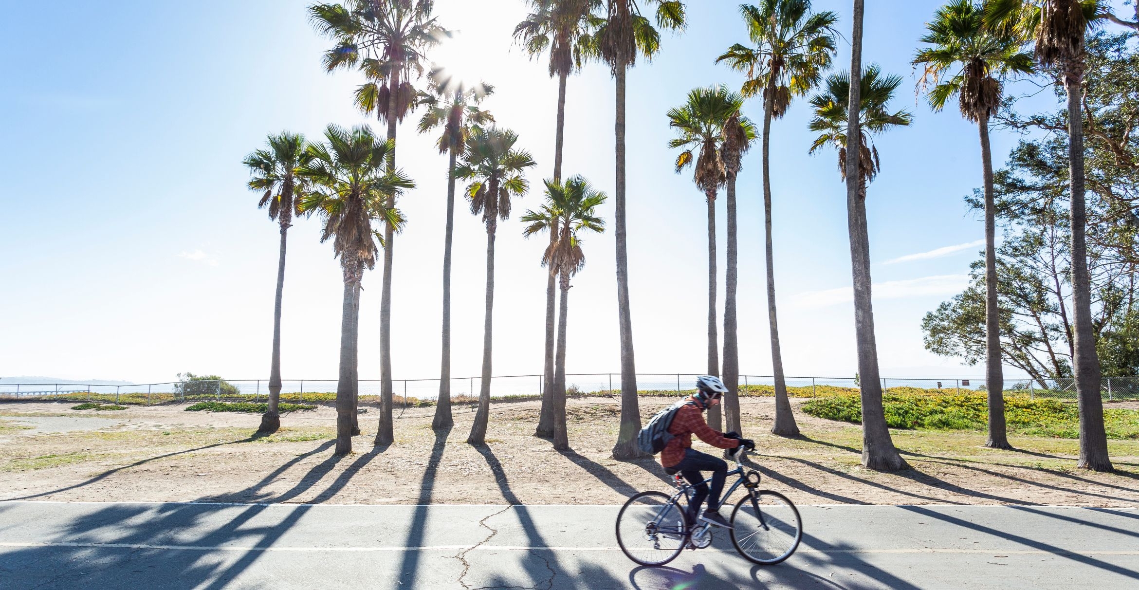 A cyclist rides beneath the palm trees along UCSB’s costal bluffs.