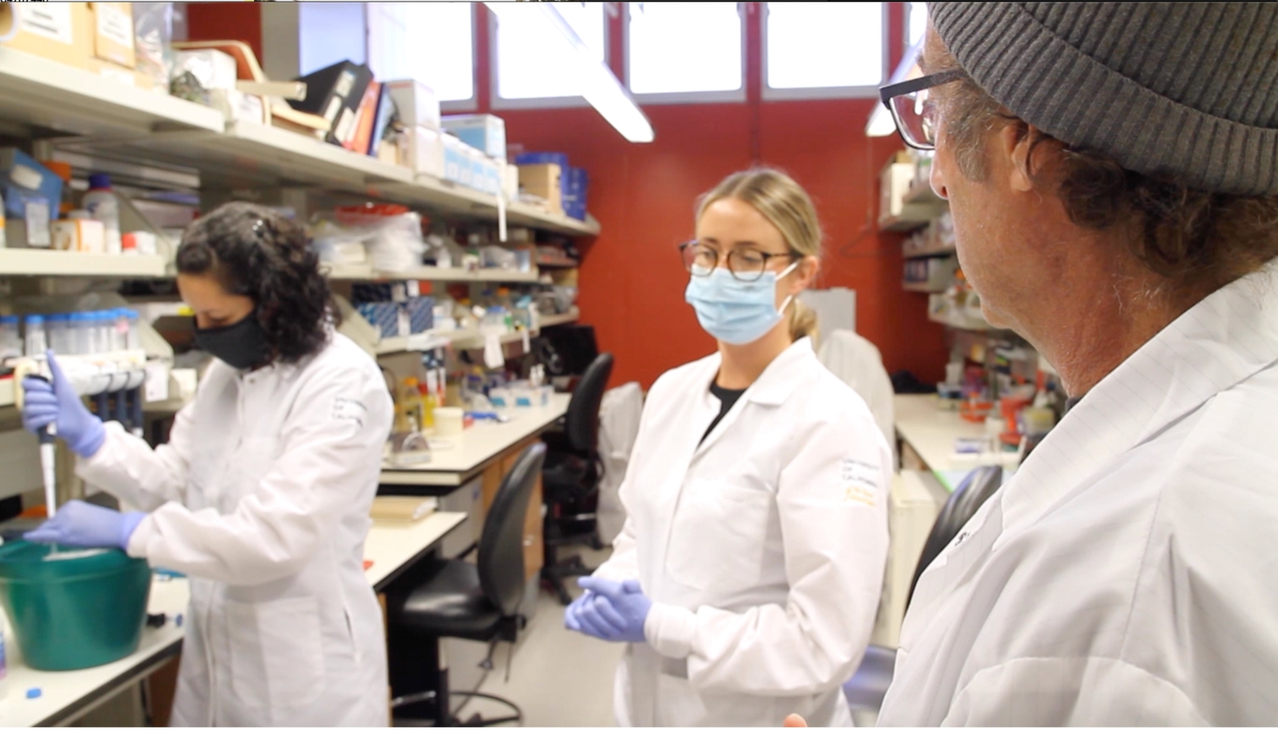 white-coated scientists in lab