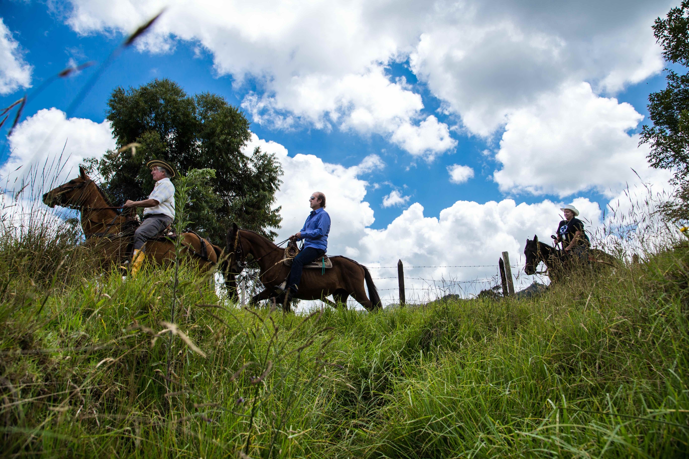 people on horseback